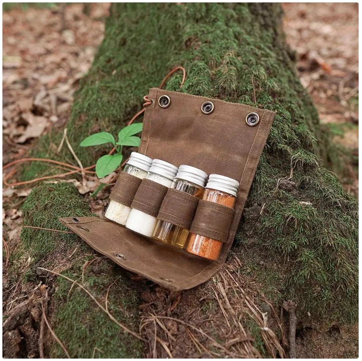 Backpackers Spice Pantry